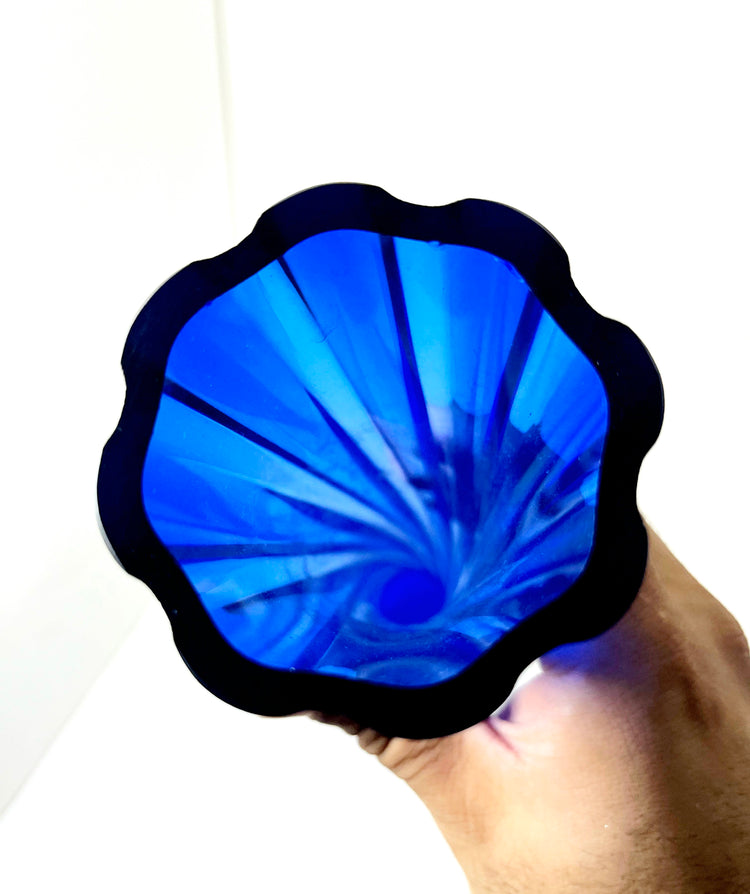 curiosità & collezionismo